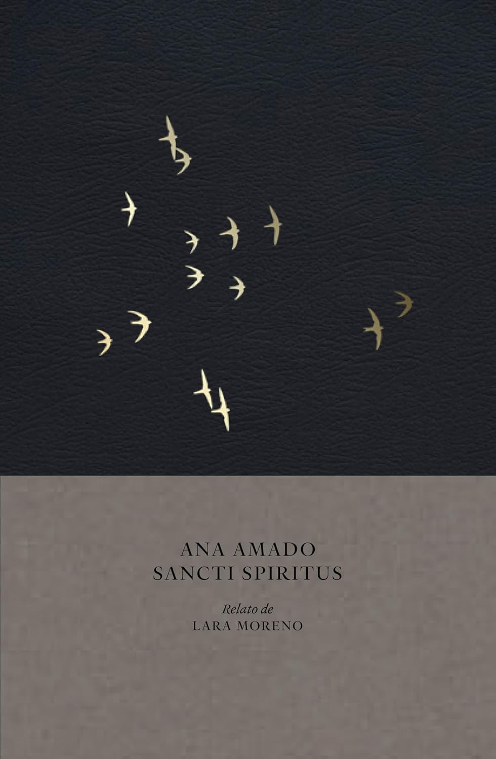 Sancti Spiritus: Blurred Devotion (frames by Ana Amado)